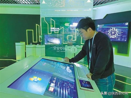 走近高新技術企業四葉草安全 構筑網絡防線，賦能企業技術服務新生態